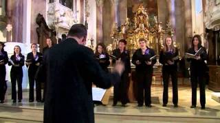 Thomas Hanelt Jubilate Deo  Cantate Venlo The Netherlands [upl. by Ardehs572]