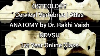 OSTEOLOGY  Atlas  Cervical Vertebrae ANATOMY by Dr Rakhi Vaish NDVSU 1st Year Online Class [upl. by Luthanen]