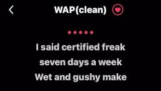 WAP Clean lyrics by Cardi B ft Megan theeKaraoke Version [upl. by Aleekahs]