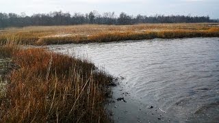 Djurslands Vadehav St Sjørup På Kystopdagelse Vinter 201314 [upl. by Groeg]