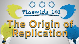 Origin of Replication  Plasmids 101 [upl. by Atikim575]