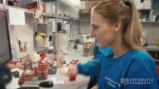 What does a microbiologist do  University of Tasmania [upl. by Ellennahc]