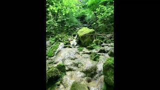 20150607 ClairvauxLesLacs Belvédère Scie Petit Grand Lac Soucia Grotte Pilley Nitrière Randonnée [upl. by Kleon]