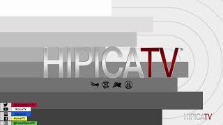 Hípica TV Livestream  Domingo 5 Febrero 2023 [upl. by Slifka]