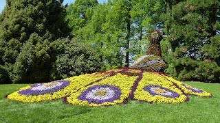 Insel Mainau [upl. by Ibrab]