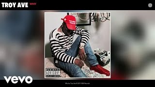 Troy Ave  Why Audio [upl. by Anirpas854]