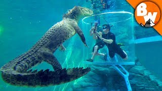 Behind the Bite The Cage of Death at Crocosaurus Cove [upl. by Gonick939]