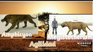 Megistotherium vs Amphicyon enfrentamientos de la prehistoria 23 [upl. by Cire]