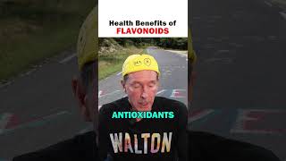 The Many Health Benefits of Flavonoids [upl. by Hennie]