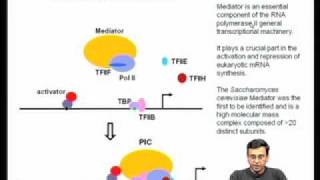 Mod02 Lec06 Transcription factors transcription activation domains [upl. by Subocaj900]