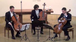 Haydn Divertimento D Major on 3 Celli live in concert [upl. by Alisia]