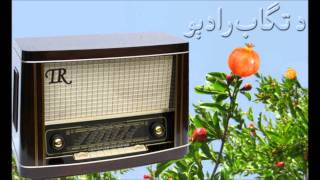 Pashto Song  نن می جانان راغـلی ستړی ستومان راغـلی [upl. by Llenna59]