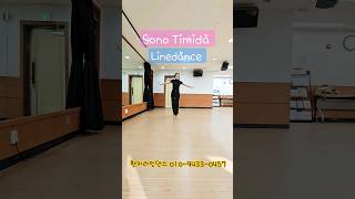 Sono Timida Linedance [upl. by Wolf]