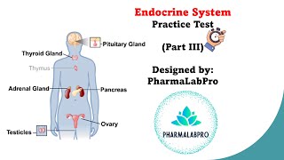 Endocrine System Quiz  Anatomy amp Physiology Review  Part 3 [upl. by Enelrihs]