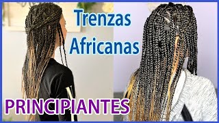 TRENZAS AFRICANAS CON EXTENSIONES  Principiantes [upl. by Regen]