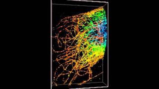 ZEISS ELYRA 3DPALM of microtubules 6 micron multiplane [upl. by Adnohsak]