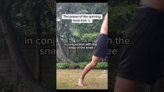 Spinning back kick analysis 🥋✨martialarts kickboxing karate combatsports pain kick power [upl. by Imray]