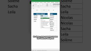 Comment compter les valeurs uniques sur Excel [upl. by Klaus]