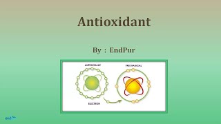 Antioxidant  Antioxidant Foods [upl. by Ardried]