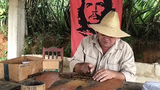 Cuban Master shows how to roll Cigar Montecristo No 4 in the Tobacco Field of Viñales Cuba [upl. by Straub]