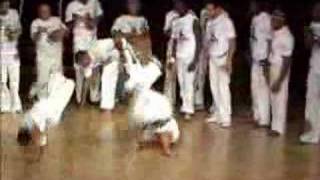 capoeira mestre roda [upl. by Adnael]