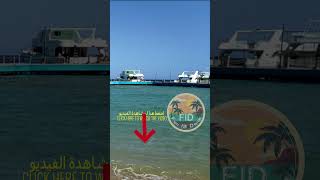 Hurghada  مدينة الغردقة  Amarina Abu Soma Resort amp Aquapark  PART 1 shorts [upl. by Spearing]