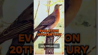 World Most top 5 Extinct Animals On Earth Yt Shorts Facts [upl. by Halilad]