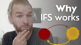 Principles underlying IFS Therapy  Part 2 Internal Family System Therapy Techniques [upl. by Annoled]