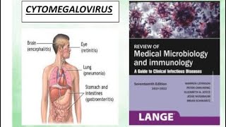 Microbiology  Cytomegalovirus microbiology cytomegalovirus [upl. by Amari]