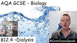 B124  Kidney Function and Dialysis  AQA Biology GCSE 91 [upl. by Alyda385]