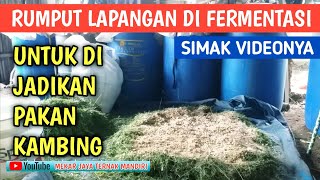 CARA MEMBUAT FERMENTASI RUMPUT LIAR RUMPUT LAPANGAN  Pakan Kambing [upl. by Bonis]