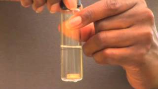 Coliform Bacteria Procedure  En [upl. by Cecilius180]