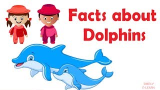 Interesting dolphin facts for kids  information about dolphins  facts about dolphins [upl. by Pierrette]