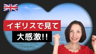 イギリスBBCが放映する日本の人気番組とは [upl. by Atniuq]