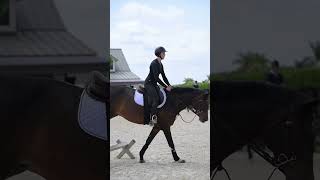 Andre Dignelli Micd Up  Lessons in Track [upl. by Polloch607]