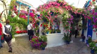 Patios Festival of Cordoba [upl. by Felske]