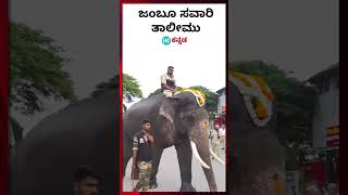 Mysore jambu savari practice  ಮೈಸೂರು ದಸರಾ ಜಂಬೂಸವಾರಿಯಲ್ಲಿ ಭಾಗವಹಿಸುವ ಆನೆಗಳ ತಾಲೀಮು [upl. by Aniehs]