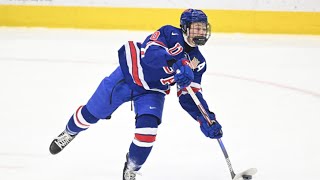 2025 NHL PRESEASON MOCK DRAFT [upl. by Zaid348]