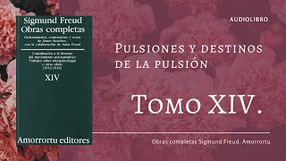 Freud Tomo XIV Pulsiones y destinos de pulsión 1915 en Audio [upl. by Saberhagen]