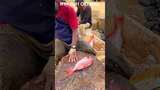 RED SNAPPER FISH 🐟 KASIMEDU SPEED SELVAM AMAZING FISH CUTTING SKILLS kasimedu [upl. by Calesta]