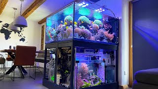 GERMAN REEF TANKS  850 liter Masterpiece with a quotSeahorseSumpquot  CORAL AQUARIUM highlights [upl. by Leshia879]