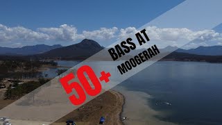 Moogerah dam bass fishing  50 plus bass for the day [upl. by Acnayb798]