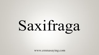 How To Say Saxifraga [upl. by Neenad]