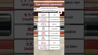 🇯🇵 EXPRESSIONS JAPONAISES vie de tous les jours [upl. by Akiemat276]