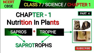 Saprotrophs  Class 7 Science Chapter 1  Nutrition in plants  Mode of Nutrition in plants [upl. by Olav]