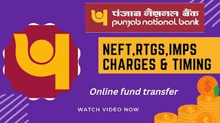 Punjab National bank NEFT RTGS IMPS ChargesOnline Fund TransferChargesLimitationsTimings [upl. by Anertac]