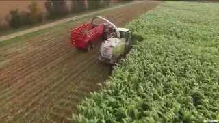 Réalisation Films Vidéo produit  Récolte Sorgho ensilage BMR de Semental [upl. by Enaej258]