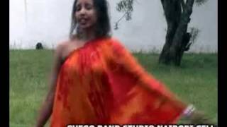 Sagal Arts Heestii GUDI New Video 2011flv [upl. by Lednyk139]