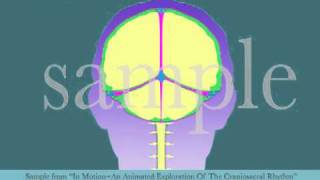 Intracranial Membrane System CSR Motion by Tad Wanveer [upl. by Enert]