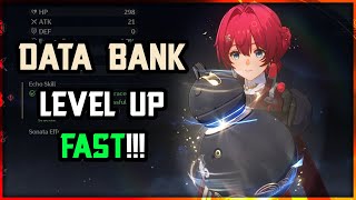 DATA BANK GUIDE FOR FAST LEVEL UP  Wuthering Waves [upl. by Mallen]